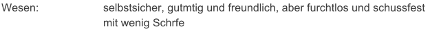 Wesen: selbstsicher, gutmtig und freundlich, aber furchtlos und schussfest mit wenig Schrfe